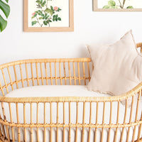 Coconut Milk - Waterproof Cot Sheet