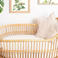 Coconut Milk - Waterproof Bassinet Sheet