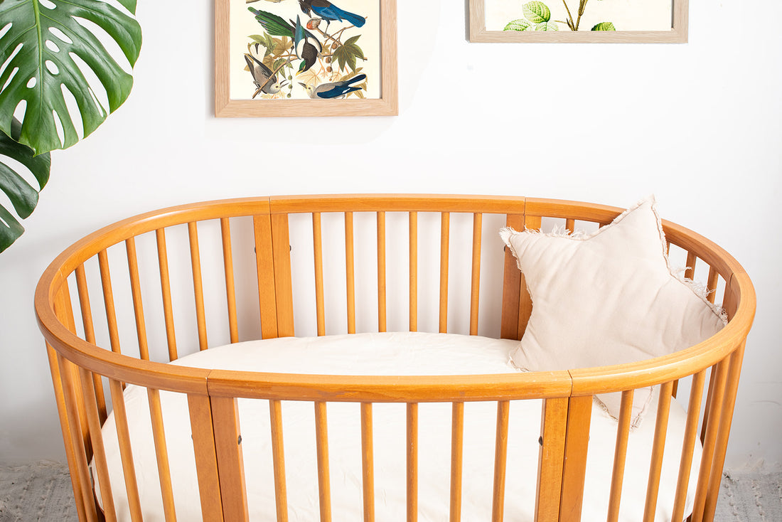 Coconut Milk - Waterproof Cot Sheet