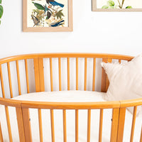 Coconut Milk - Waterproof Cot Sheet